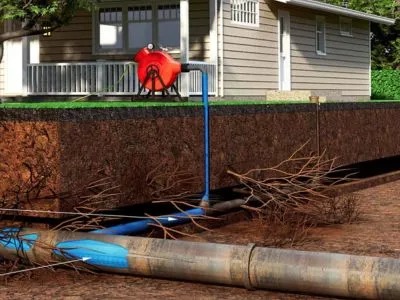 A cutaway image shows tree roots encroaching on an underground pipe.