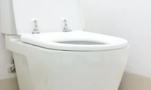 A toilet