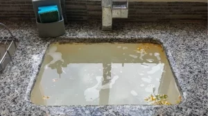 clogged sink