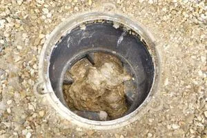 Clogged Drain