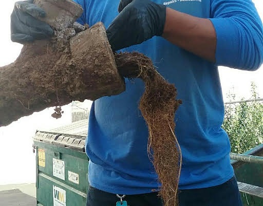 sewer repair 2