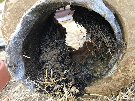 sewer repair