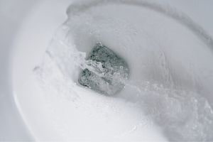 toilet flush