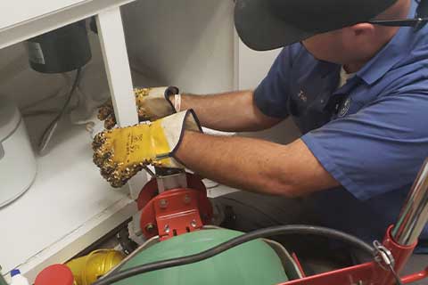 plumbing repair plumbing repair