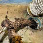 backed up sewer line
